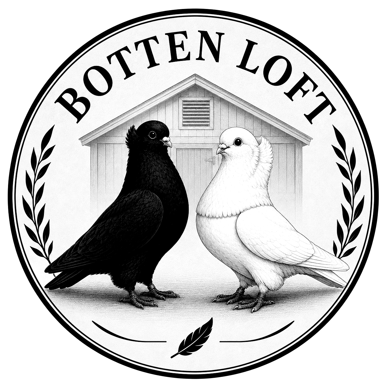 Botten Loft sort/hvitt